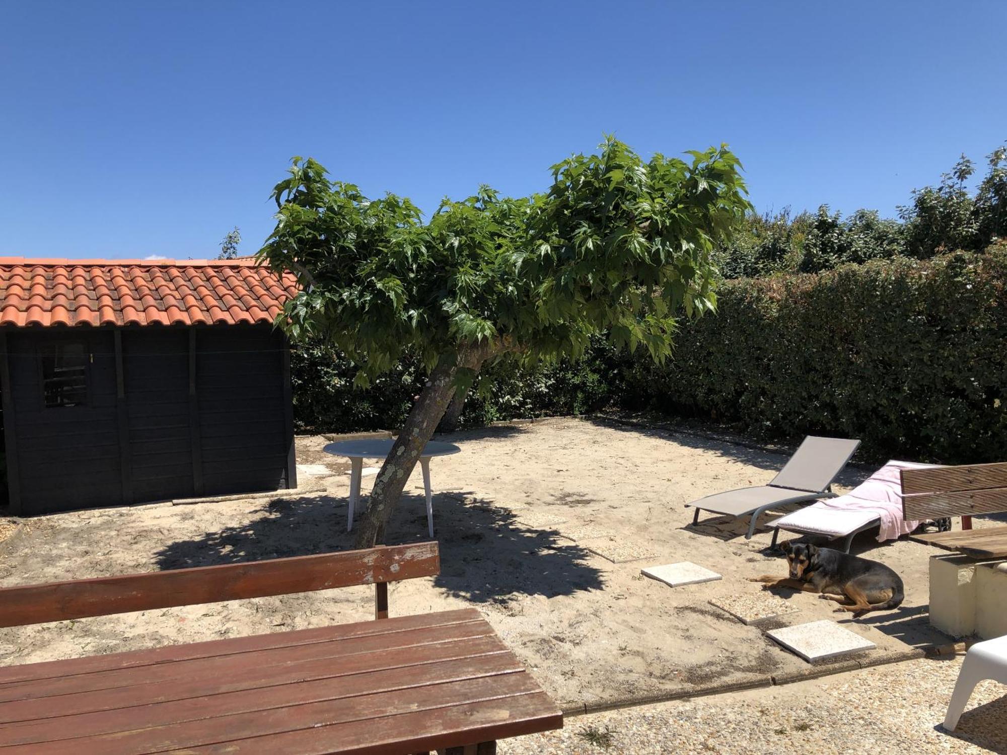 La Cabane De Biscarrosse Dış mekan fotoğraf